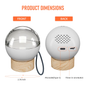 Electronic Crystal Ball Memory